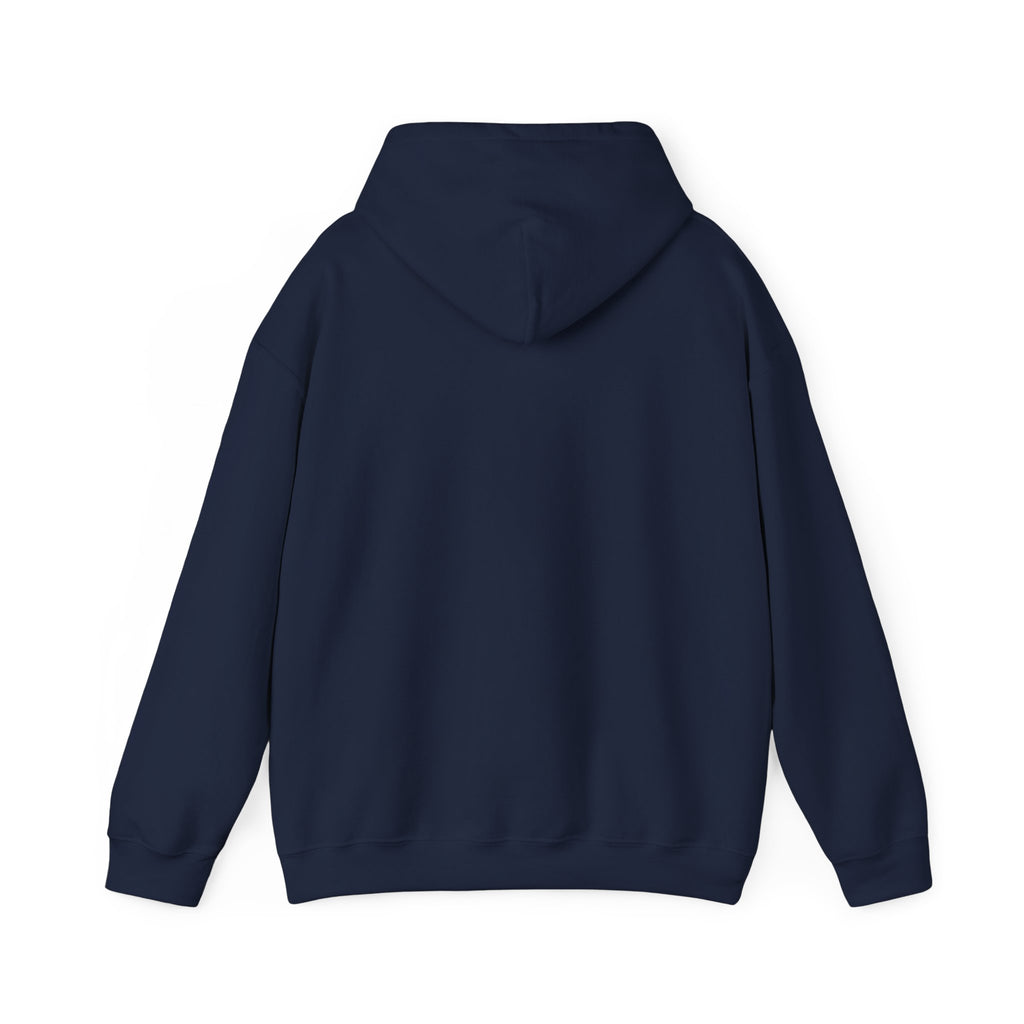 Vintage wild and free wilderness graphic on a Wander Wild Co pullover hoodie