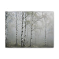 Birch Grove in Fog Canvas Print — Misty Birch Forest Wall Art