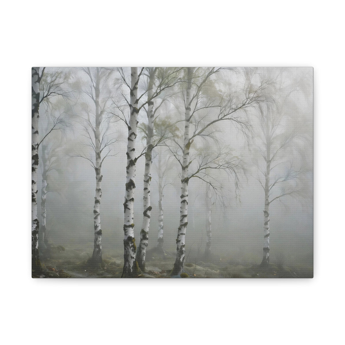 Birch Grove in Fog Canvas Print — Misty Birch Forest Wall Art