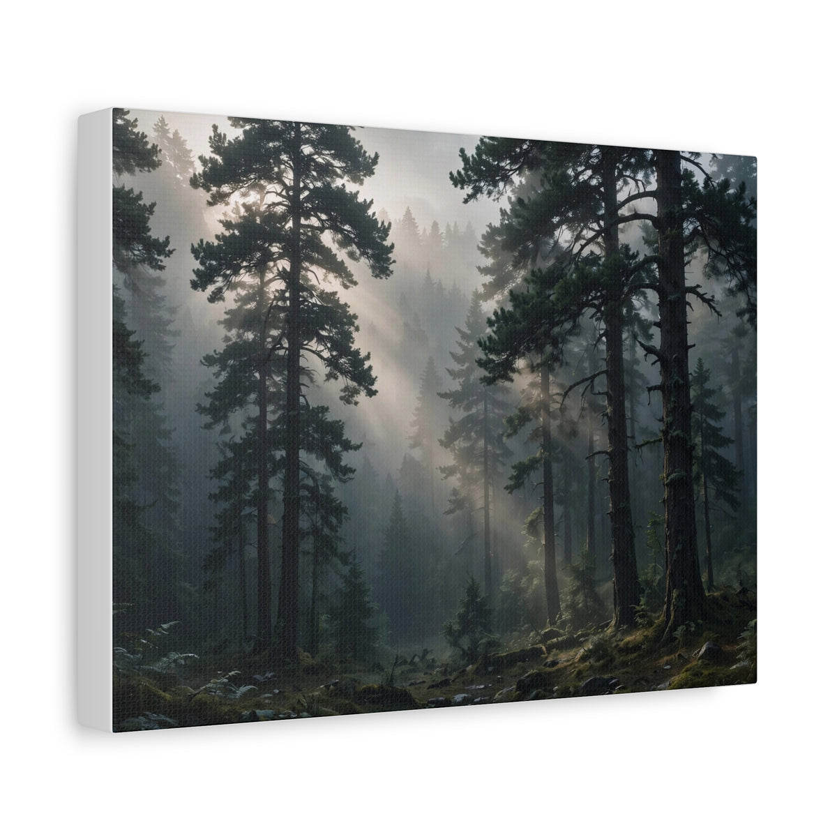 Fog Forest — Wander Wild Co Canvas Print