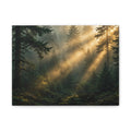 Sunbeams Through Pines Canvas Print — Sunlit Forest Landscape Wall Art