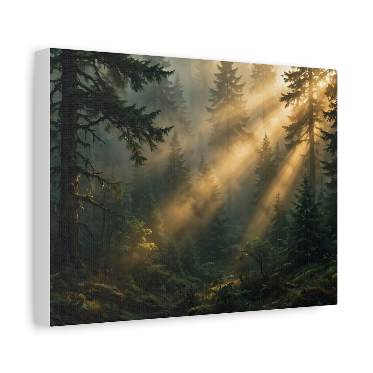 Sunbeams Through Pines Canvas Print — Sunlit Forest Landscape Wall Art