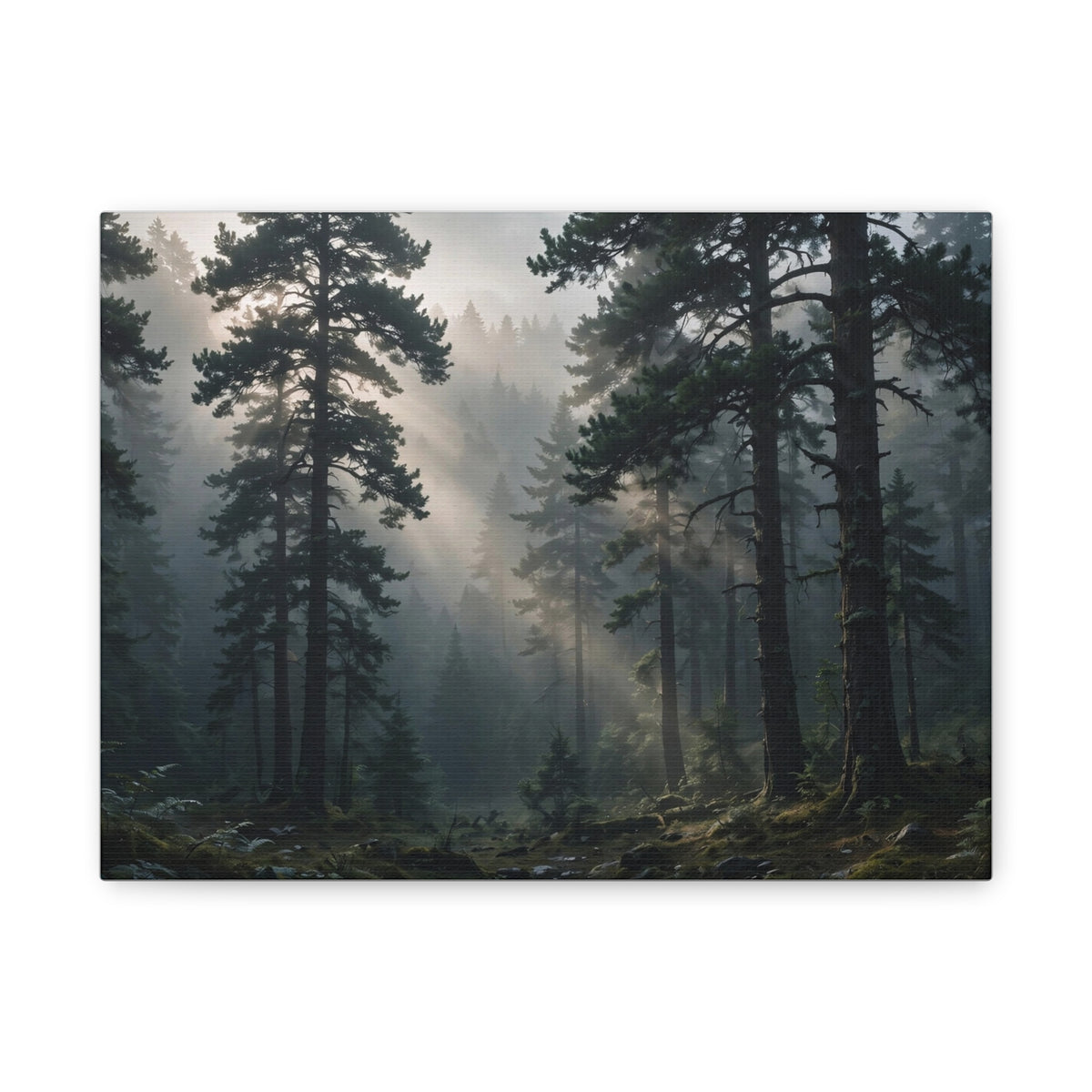 Fog Forest — Wander Wild Co Canvas Print