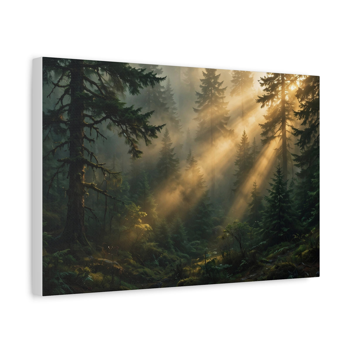 Sunbeams Through Pines Canvas Print — Sunlit Forest Landscape Wall Art