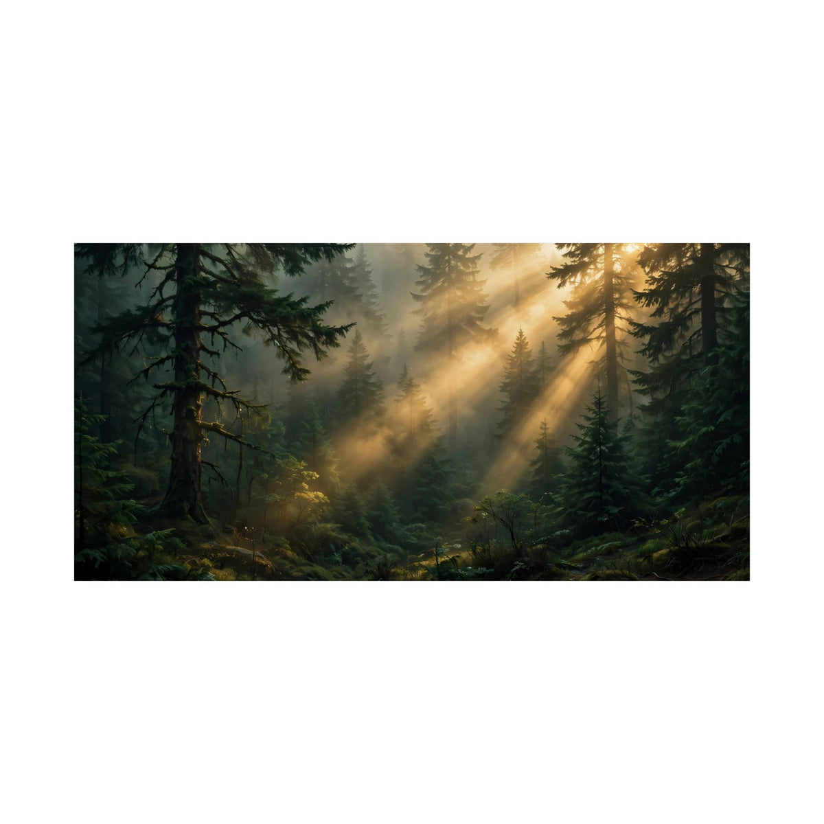 Sunbeams Through Pines Art Print — Forest Light Rays Poster