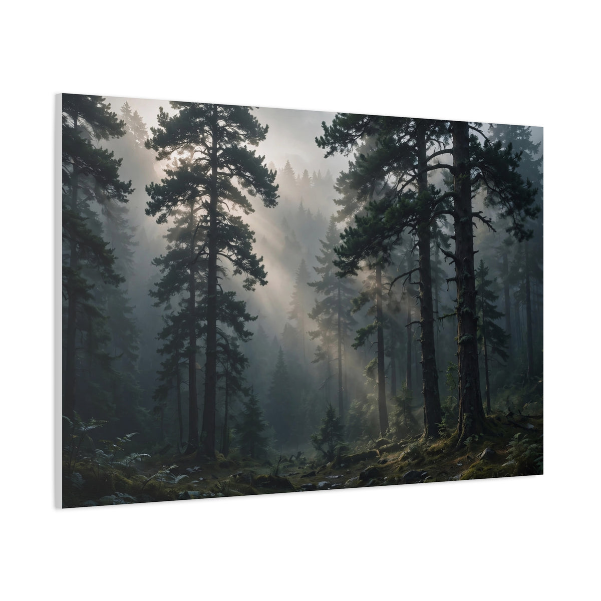 Fog Forest — Wander Wild Co Canvas Print